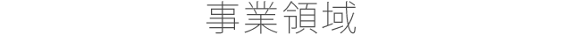 事業領域